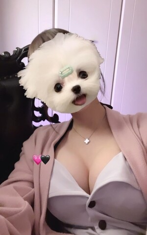さんの写真